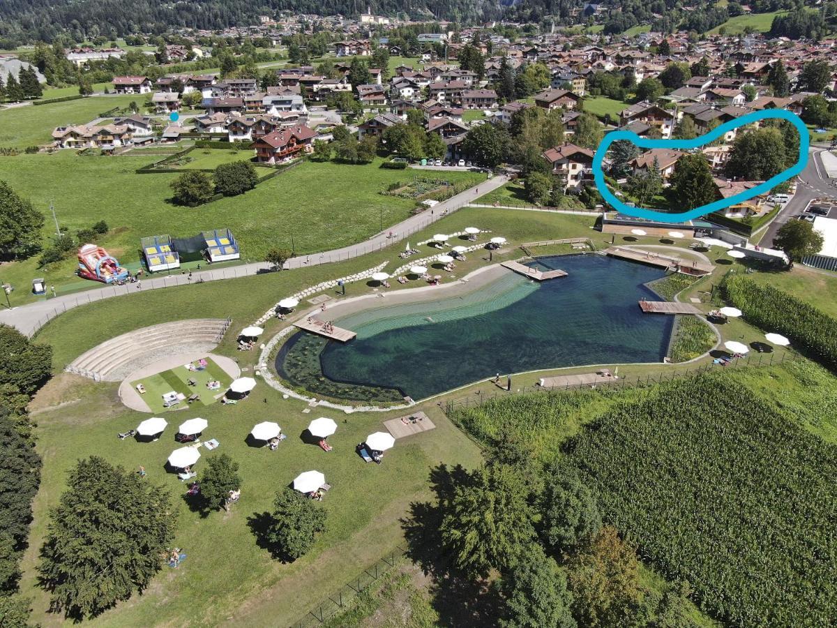 Chalet Mountain Plaza - Apt Greenvalley Pinzolo Zewnętrze zdjęcie